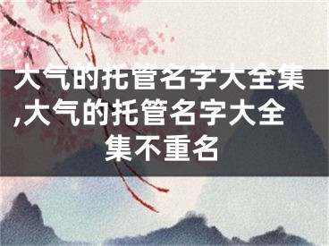 大气的托管名字大全集,大气的托管名字大全集不重名