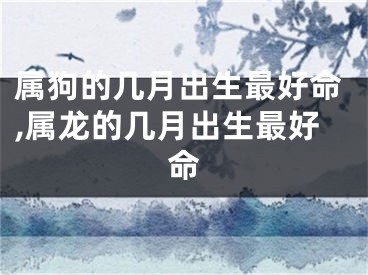 属狗的几月出生最好命,属龙的几月出生最好命