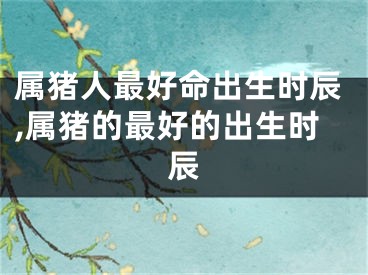 属猪人最好命出生时辰,属猪的最好的出生时辰