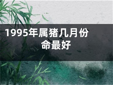 1995年属猪几月份命最好