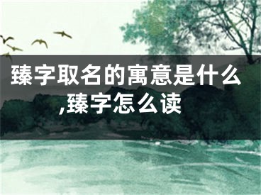 臻字取名的寓意是什么,臻字怎么读