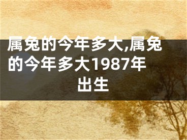 属兔的今年多大,属兔的今年多大1987年出生