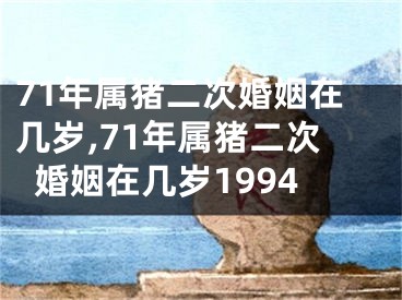 71年属猪二次婚姻在几岁,71年属猪二次婚姻在几岁1994