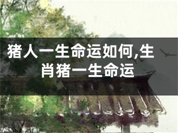 猪人一生命运如何,生肖猪一生命运