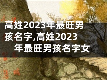 高姓2023年最旺男孩名字,高姓2023年最旺男孩名字女