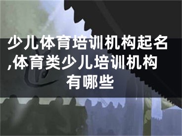少儿体育培训机构起名,体育类少儿培训机构有哪些