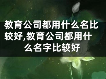 教育公司都用什么名比较好,教育公司都用什么名字比较好