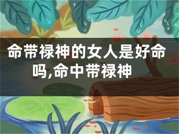 命带禄神的女人是好命吗,命中带禄神
