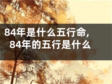 84年是什么五行命,84年的五行是什么