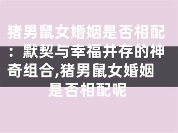 猪男鼠女婚姻是否相配：默契与幸福并存的神奇组合,猪男鼠女婚姻是否相配呢