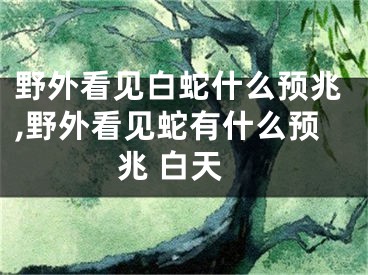 野外看见白蛇什么预兆,野外看见蛇有什么预兆 白天