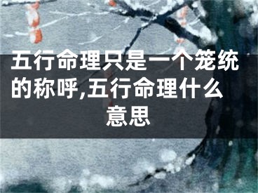 五行命理只是一个笼统的称呼,五行命理什么意思