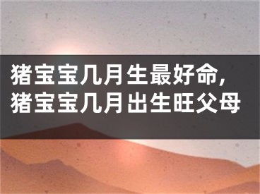 猪宝宝几月生最好命,猪宝宝几月出生旺父母
