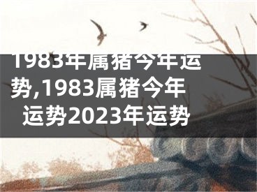1983年属猪今年运势,1983属猪今年运势2023年运势