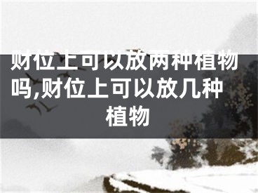 财位上可以放两种植物吗,财位上可以放几种植物