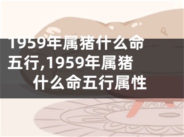 1959年属猪什么命五行,1959年属猪什么命五行属性