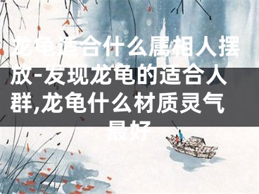 龙龟适合什么属相人摆放-发现龙龟的适合人群,龙龟什么材质灵气最好