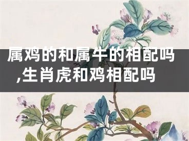 属鸡的和属牛的相配吗,生肖虎和鸡相配吗