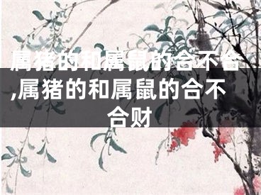 属猪的和属鼠的合不合,属猪的和属鼠的合不合财