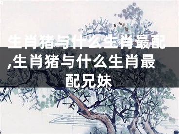 生肖猪与什么生肖最配,生肖猪与什么生肖最配兄妹