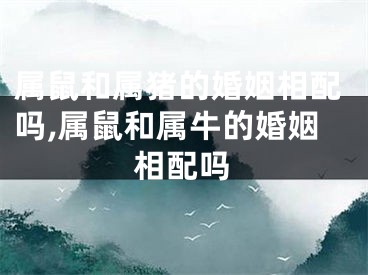 属鼠和属猪的婚姻相配吗,属鼠和属牛的婚姻相配吗