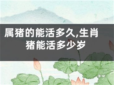 属猪的能活多久,生肖猪能活多少岁