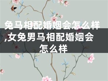 兔马相配婚姻会怎么样,女兔男马相配婚姻会怎么样