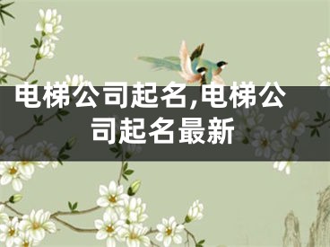电梯公司起名,电梯公司起名最新