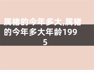 属猪的今年多大,属猪的今年多大年龄1995