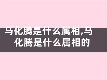马化腾是什么属相,马化腾是什么属相的