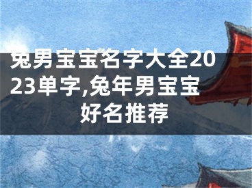 兔男宝宝名字大全2023单字,兔年男宝宝好名推荐