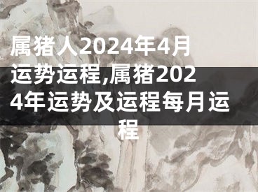 属猪人2024年4月运势运程,属猪2024年运势及运程每月运程