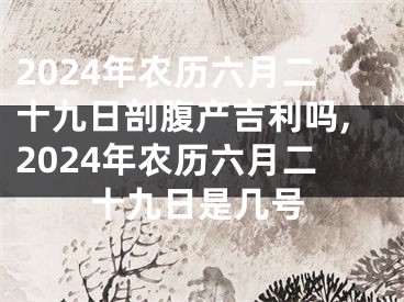 2024年农历六月二十九日剖腹产吉利吗,2024年农历六月二十九日是几号