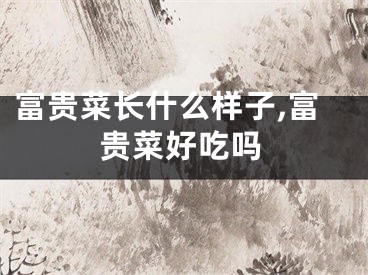富贵菜长什么样子,富贵菜好吃吗
