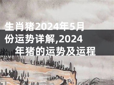 生肖猪2024年5月份运势详解,2024年猪的运势及运程