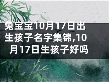 兔宝宝10月17日出生孩子名字集锦,10月17日生孩子好吗