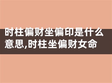时柱偏财坐偏印是什么意思,时柱坐偏财女命