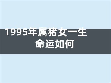 1995年属猪女一生命运如何