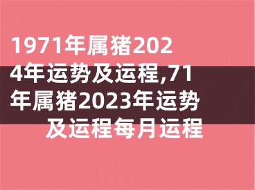 1971年属猪2024年运势及运程,71年属猪2023年运势及运程每月运程