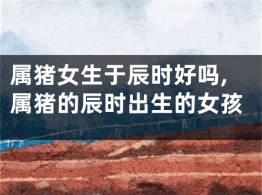 属猪女生于辰时好吗,属猪的辰时出生的女孩