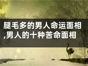 腿毛多的男人命运面相,男人的十种苦命面相