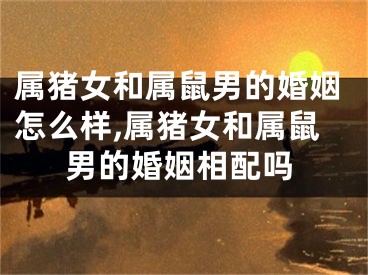 属猪女和属鼠男的婚姻怎么样,属猪女和属鼠男的婚姻相配吗