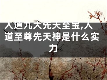 人道九大先天至宝,人道至尊先天神是什么实力