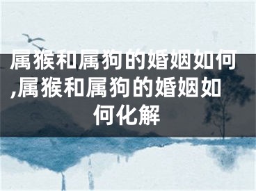 属猴和属狗的婚姻如何,属猴和属狗的婚姻如何化解