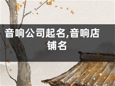 音响公司起名,音响店铺名