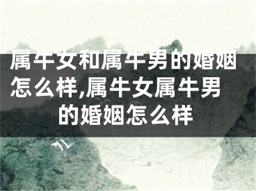 属牛女和属牛男的婚姻怎么样,属牛女属牛男的婚姻怎么样