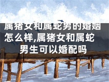 属猪女和属蛇男的婚姻怎么样,属猪女和属蛇男生可以婚配吗