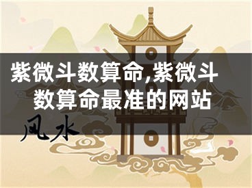紫微斗数算命,紫微斗数算命最准的网站