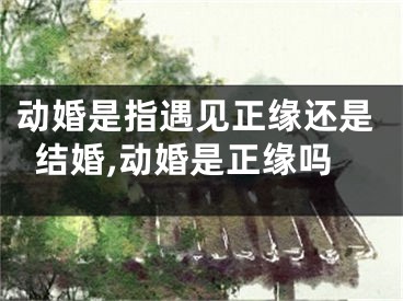 动婚是指遇见正缘还是结婚,动婚是正缘吗