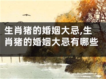 生肖猪的婚姻大忌,生肖猪的婚姻大忌有哪些